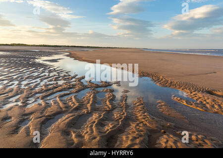 Il paesaggio costiero con ondulazioni di sabbia formata dal calo di marea sulla spiaggia di Gibraltar Point, Lincolnshire, England, Regno Unito Foto Stock