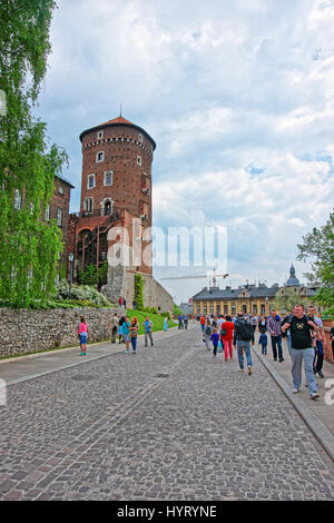 Cracovia in Polonia - 1 Maggio 2014: persone al castello di Wawel, Cracovia in Polonia Foto Stock