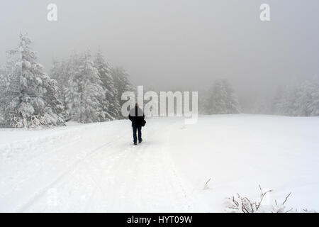 L'uomo cammina sul paese nevoso-strada in una nebbiosa giornata invernale Foto Stock