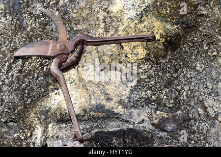 Vecchio arrugginito giardino cesoie appoggiato su un vecchio muro Foto Stock