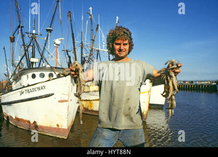 Foto inedite. Per editoriale solo l'utilizzo. Gamberi freschi dal Golfo del Messico al porto da pesca di Rockport, Texas Foto Stock