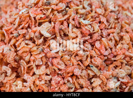 Gamberetti essiccati al mercato del pesce di Maha Chai, Samut Sakhon Provincia, Thailandia. Foto Stock