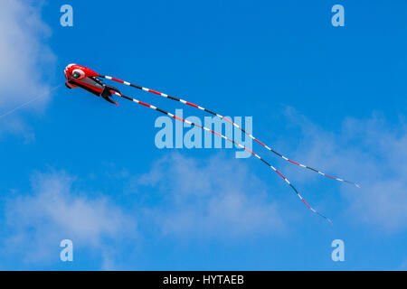 Minchinhampton serate dei Kite; Aprile 2017 Foto Stock