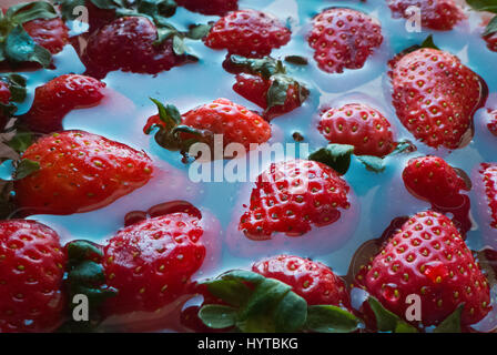 Le fragole in acqua. Foto Stock