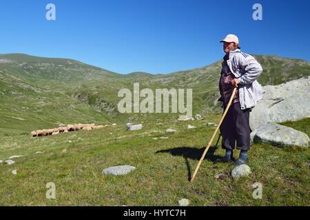 Montagna Rila, Bulgaria - 10 Luglio 2016: il vecchio pastore con il suo gregge al pascolo in alta montagna Rila Foto Stock