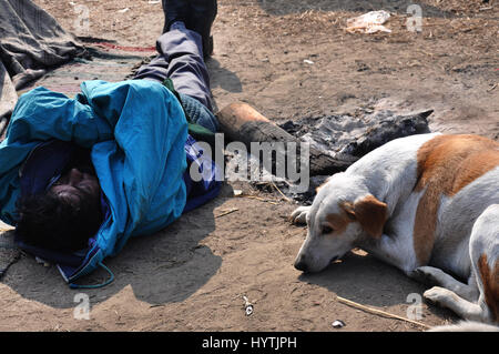 Begger, dormire, cane di strada anche rilassante, Via | Delhi, India (Foto Copyright © di Saji Maramon) Foto Stock