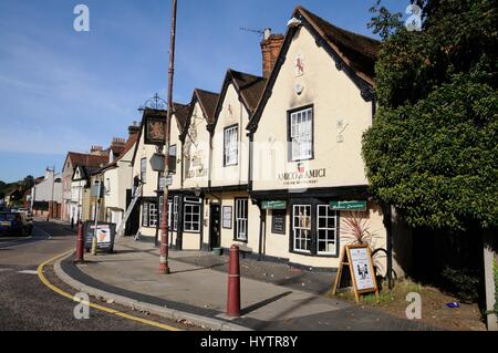 Il Red Lion, Stanstead Abbotts, Hertfordhsire Foto Stock