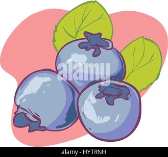 Mirtillo, foglie e bacche isolati su sfondo bianco. Realistico digital paint. Illustrazione Vettoriale. Illustrazione Vettoriale