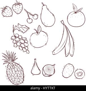 Illustrazione vettoriale di stock-vector-frutti-set-di-vector-illustrazioni Illustrazione Vettoriale