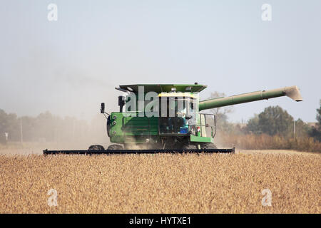 2010 raccolto di soia nel sud-est della Iowa. Foto Stock