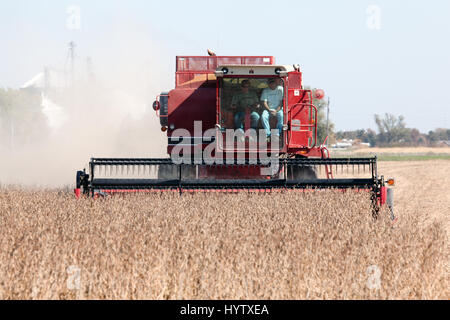 2010 raccolto di soia nel sud-est della Iowa. Foto Stock