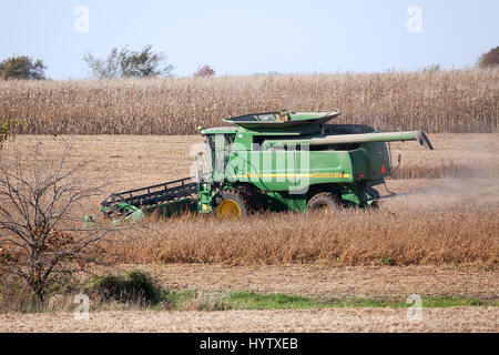 2010 raccolto di soia nel sud-est della Iowa. Foto Stock