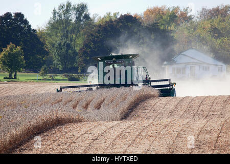 2010 raccolto di soia nel sud-est della Iowa. Foto Stock