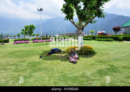 Lago Kashmir dal bellissimo parco, verde erba circostante. Paradiso sulla Terra. (Foto Copyright © di Saji Maramon) Foto Stock