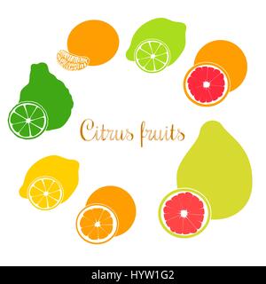 Collezione di agrumi piana prodotti - arancio, limone, calce, bergamotto, mandarino, pompelmo, pomelo. Set di vettore di frutti interi e fette. per cosmetici Illustrazione Vettoriale