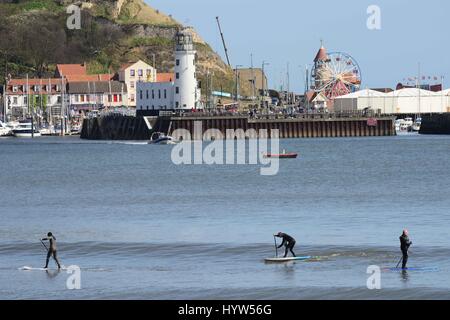 Paddle boarders godendo il surf a Scarborough, North Yorkshire, Regno Unito durante la calda luce del sole. Immagine: Scott Bairstow Foto Stock