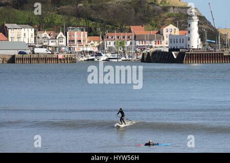 Paddle boarders godendo il surf a Scarborough, North Yorkshire, Regno Unito durante la calda luce del sole. Immagine: Scott Bairstow Foto Stock