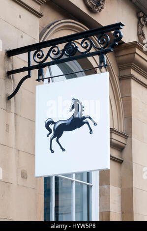 Lloyds Bank cavallo nero segno su un High Street bank in Inghilterra. Foto Stock