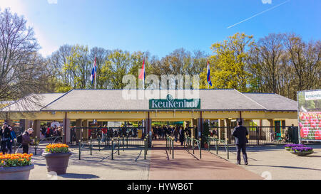 LISSE, Paesi Bassi - 16 Aprile 2016: il Keukenhof Parco Floreale Lisse, Paesi Bassi. Keukenhof è il più grande del mondo giardino fiorito con 7 milioni di flusso Foto Stock