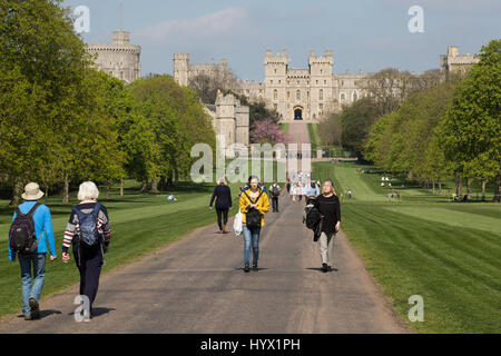 Windsor, Regno Unito. 7 Aprile, 2017. Turisti e residenti locali godendo il pomeriggio di inizio estate sole sulla lunga passeggiata in Windsor Great Park. Credito: Mark Kerrison/Alamy Live News Foto Stock