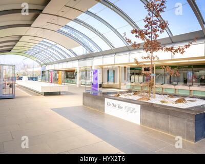 Wakehurst, UK. 7 Aprile, 2017. Wakehurst - Royal Botanic Gardens. Lancio della nuova esposizione del millennio banca del seme - Strutture segrete corre da adesso fino a marzo 2018. Credito: Jim Holden/Alamy Live News Foto Stock