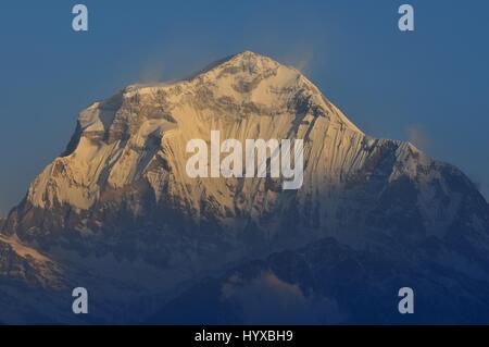 Il Nepal, Ghorepani, Poon Hill, Dhaulagiri massiccio, Himalaya, Dhaulagiri gamma guardando ad ovest da Poon Hill Foto Stock