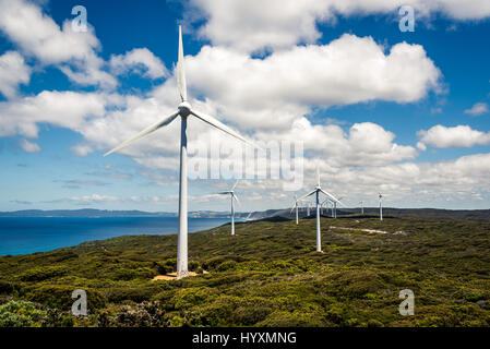 Albany Wind Farm, Western Australia. Foto Stock