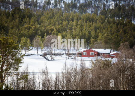 Una bella casa in legno nei boschi in Norvegia Foto Stock