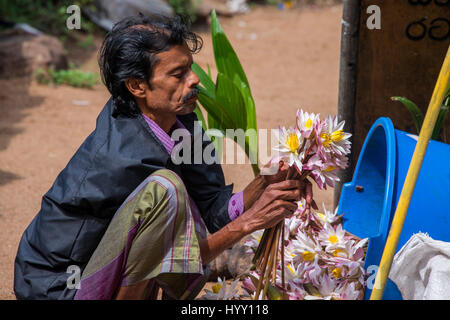 Sri Lanka, Anuradhapura, "città di rovine' Mahamevnawa giardini, aka Mahamegha, uno dei luoghi più sacri per i Buddisti. L'uomo la preparazione di fiori per il re Foto Stock