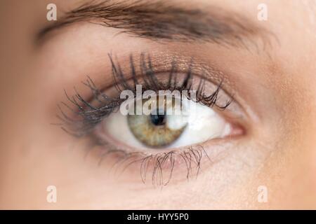 Close up della donna di occhio. Foto Stock