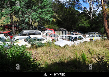 DERWENT VALLEY, AUSTRALIA: come una scena del mondo post-apocalittico in Mad Max arrugginire questi veicoli sono stati lasciati a marcire nel bush australiano. Il surreale video e immagini mostrano centinaia di vecchie autovetture, furgoni e camion impilati nella parte superiore di ogni altro nel bel mezzo del nulla come una scena di un post-apocalittico filmato. Altre riprese mostrano come i veicoli sono stati lasciati sparsi lungo quello che era una volta una vecchia strada, bloccando completamente fuori. Le immagini e i filmati sono stati presi a Derwent Valley, Tasmania dal romanziere australiano Angus Thornet (35) da Hobart. Foto Stock