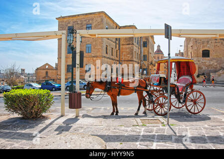 Fiacre in strada con una vista sulla cupola della chiesa di San Nicola a La Valletta, Malta Foto Stock