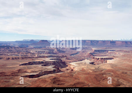 Vista aerea di un vasto paesaggio di canyon con formazioni di roccia rossa a strati e un fiume tortuoso che si intaglia attraverso il terreno desertico sotto un cielo morbido. Foto Stock