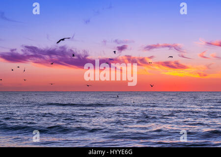 Calda notte d'estate sulla spiaggia sabbiosa dal mare. Tramonto al mare Baltico in lituano resort Palanga. Flock of Seagulls volando sul mare. Le onde di marea lavare la sa Foto Stock