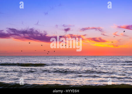 Calda notte d'estate sulla spiaggia sabbiosa dal mare. Tramonto al mare Baltico in lituano resort Palanga. Flock of Seagulls volando sul mare. Le onde di marea lavare la sa Foto Stock