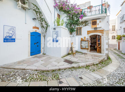 Scenic pomeriggio vista a Peschici, provincia di Foggia, Puglia, Italia Foto Stock