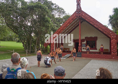 Maori Powhiri cerimonia di benvenuto per i turisti a Waitangi Treaty Grounds in Nuova Zelanda Foto Stock