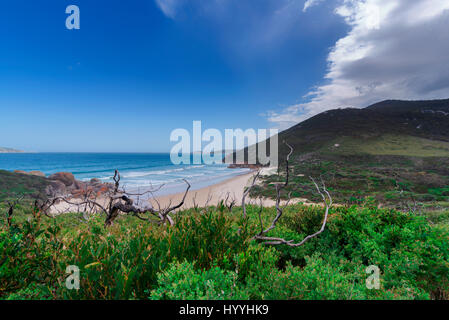 Una bella vista di un luminoso blu del mare in lontananza con il bianco delle onde in rotolamento verso una spiaggia di sabbia bianca con una piccola area boschiva. Foto Stock