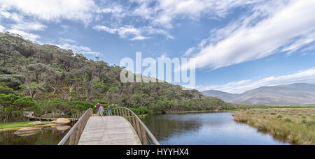 Un bel paesaggio foto di un piccolo ponte a curvare su una calma il fiume che scorre verso una piccola area boschiva nel lontano shore Foto Stock