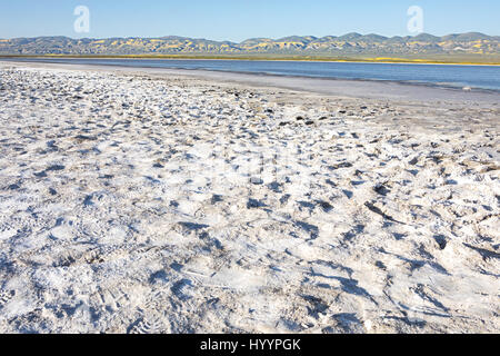 Spiaggia di sale al lago di soda, Carrizo Plain monumento nazionale Foto Stock