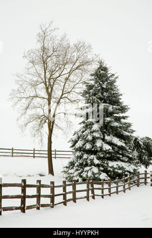 Willamette Valley recinzione in neve, Marion County, Oregon Foto Stock