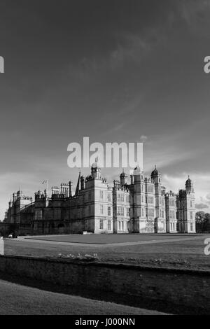 La molla narcisi, Burghley House casa nobiliare, Cambridgeshire, England, Regno Unito Foto Stock