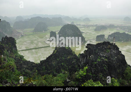 Panorama di campi di riso, rocce calcaree e cima pagoda da appendere Mua punto di vista Tempio in un giorno di pioggia. Ninh Binh, Vietnam Foto Stock