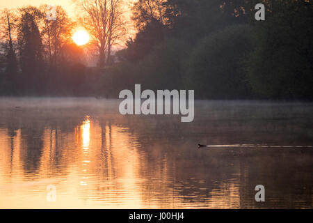 Fiume Dee a Chester durante una spettacolare alba con nebbia sul fiume in primavera, Cheshire, Regno Unito Foto Stock