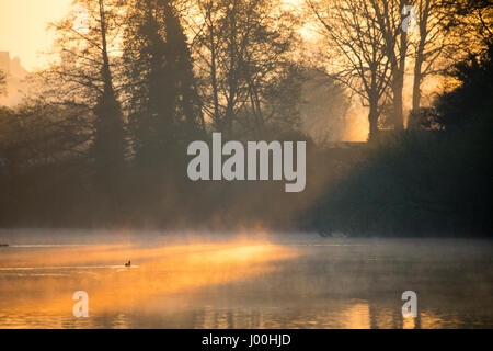 Fiume Dee a Chester durante una spettacolare alba con nebbia sul fiume in primavera, Cheshire, Regno Unito Foto Stock