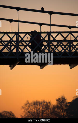La mattina presto walkers attraversando il ponte di sospensione come sopra il fiume Dee nella città romana di Chester, Cheshire Foto Stock