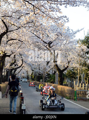 Tokyo, Giappone. 7 apr, 2017. La gente guida kart sotto la fioritura dei ciliegi a Tokyo in Giappone, il 7 aprile 2017. Credito: Ma Ping/Xinhua/Alamy Live News Foto Stock