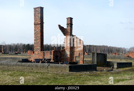 Oswiecim, Polonia. Xix Mar, 2017. 20170319 - i resti della stufa riscaldamento sistemi sono tra i resti del prigioniero caserma che una volta riempito il uomini accampamento presso la ex-Birkenau morte camp in Polonia. Credito: Chuck Myers/ZUMA filo/Alamy Live News Foto Stock