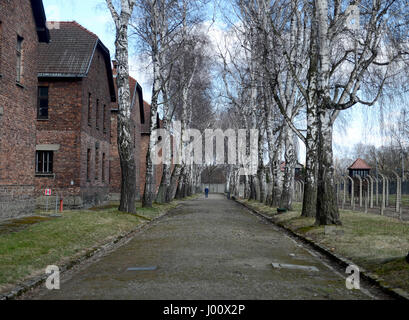 Oswiecim, Polonia. Xix Mar, 2017. 20170319 - Betulla linea un percorso all'ex principale campo di Auschwitz in Oświęcim, Polonia. Credito: Chuck Myers/ZUMA filo/Alamy Live News Foto Stock