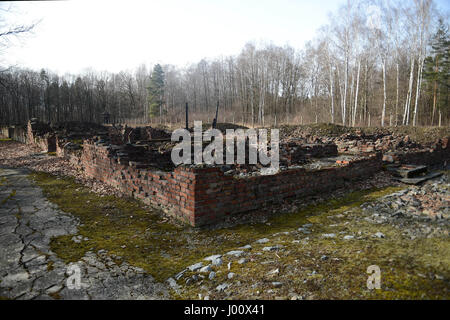 Oswiecim, Polonia. Xix Mar, 2017. 20170319 - Le rovine del crematorio 5 presso la ex-Birkenau morte camp in Polonia sono visto qui. L'edificio è servito anche come uno dei quattro grandi camera del gas i servizi presso il camp. Credito: Chuck Myers/ZUMA filo/Alamy Live News Foto Stock